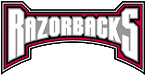 Arkansas Razorbacks 2001-2008 Wordmark Logo t shirts iron on transfers v5